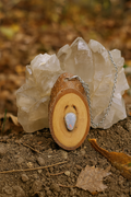 Australian Opal Pendant set in Australian Gumtree - 0044
