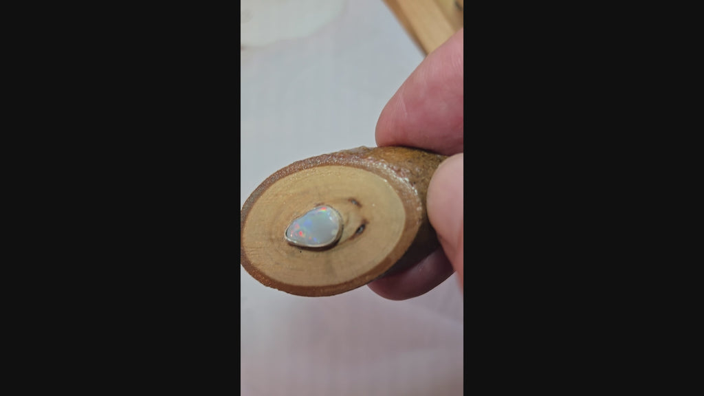 Australian Opal Pendant set in Australian Gumtree - 0044